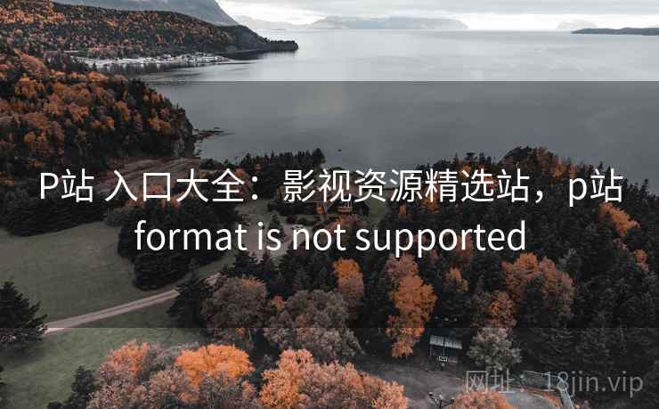 P站 入口大全：影视资源精选站，p站format is not supported