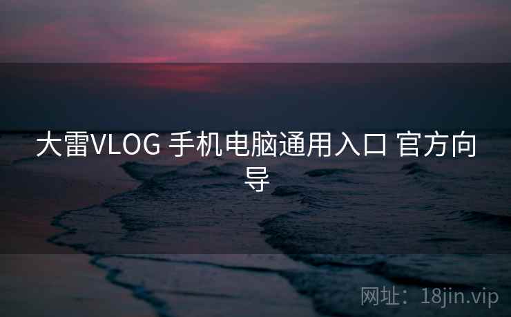 大雷VLOG 手机电脑通用入口 官方向导