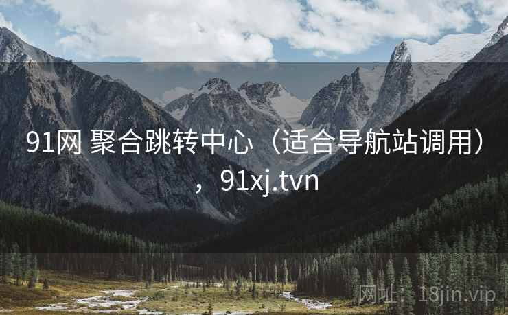91网 聚合跳转中心（适合导航站调用），91xj.tvn