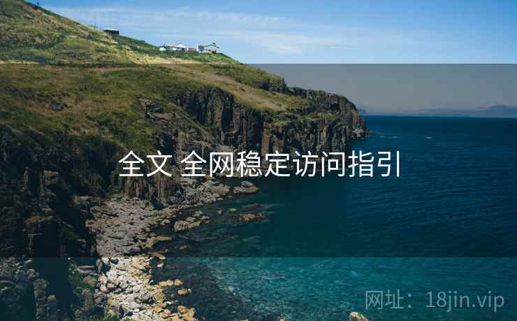 全文 全网稳定访问指引