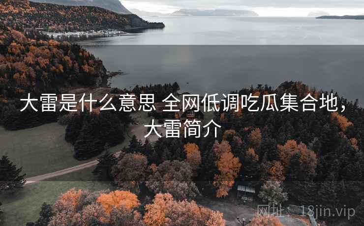 大雷是什么意思 全网低调吃瓜集合地，大雷简介