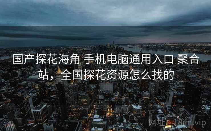 国产探花海角 手机电脑通用入口 聚合站，全国探花资源怎么找的